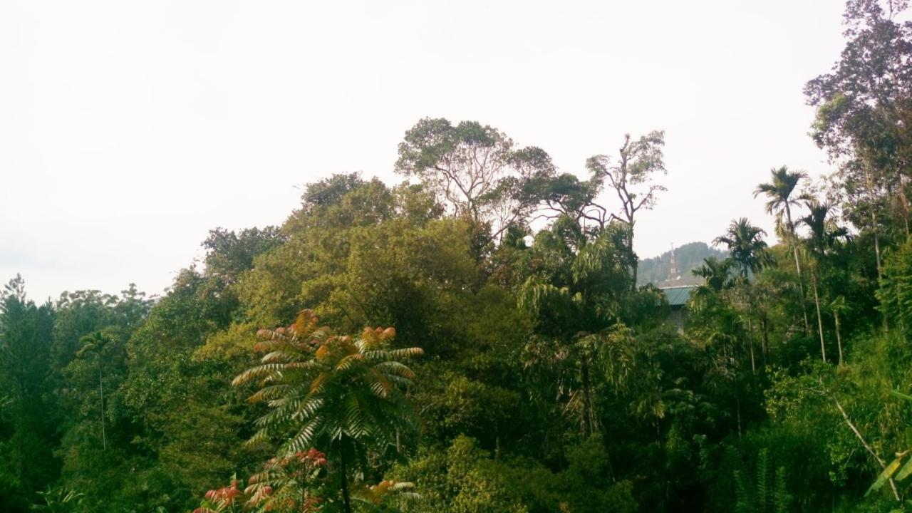 Nature Village Inn Ella Luaran gambar